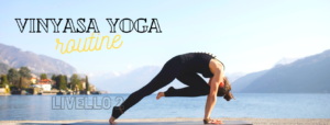 Vinyasa yoga routine – livello 2