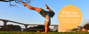 Pincha Mayurasana – la posizione della piuma di pavone
